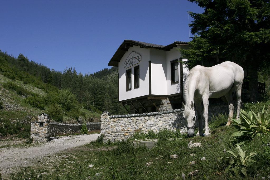 Family Hotel Arkan Han Trigrad Exterior foto